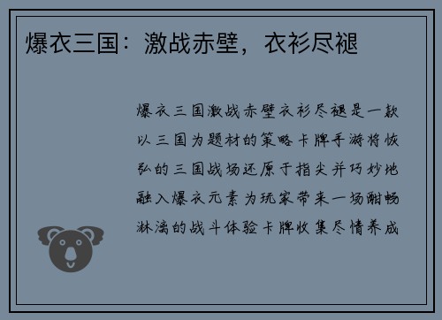 爆衣三国：激战赤壁，衣衫尽褪